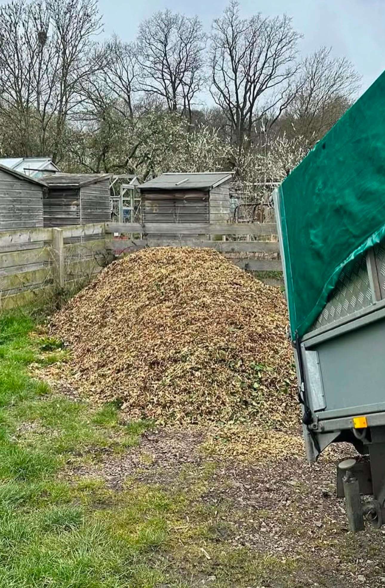 Woodland mulch from recycled tree surgery waste